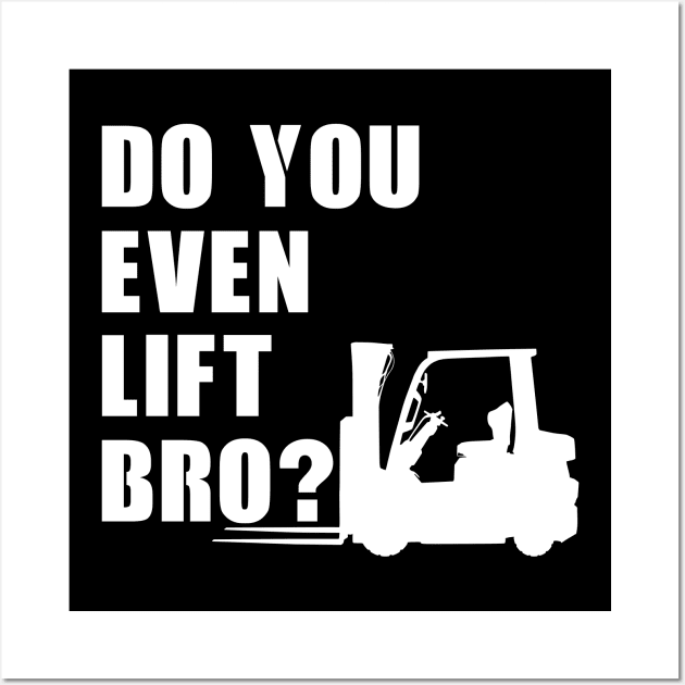 Do You even lift Bro? Wall Art by NicGrayTees